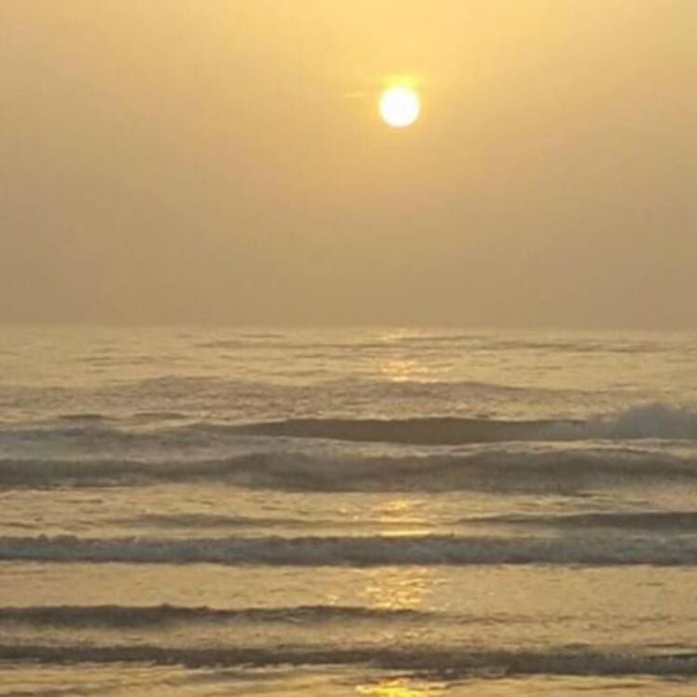 Meet your Posher, Pimienta